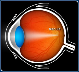 Eye Diagram